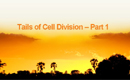 Tails of Cell Division