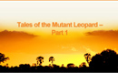 Tales of the Mutant Leopard