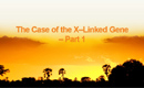 The Case of the X-Linked Gene