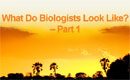 What Do Biologists Look Like?