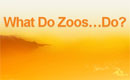 What Do Zoos... Do?
