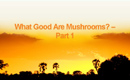 What Good Are Mushrooms?