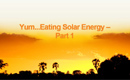 Yum...Eating Solar Energy