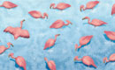 Flamingos Density